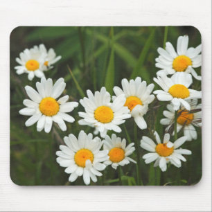 USA, Washington, Seattle, Puget Sound 3 Mouse Pad