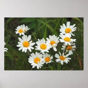 USA, Washington, Seattle, Puget Sound 3 Poster