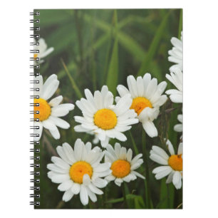 USA, Washington, Seattle, Puget Sound 3 Spiral Notebook