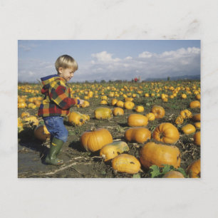USA, Washington, Snohomish. Small boy Postcard