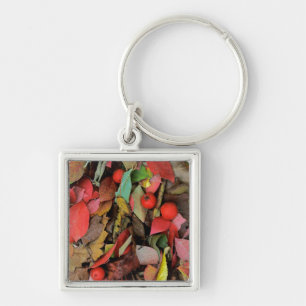 USA, Washington, Spokane Co., Hawthorn Leaves Key Ring