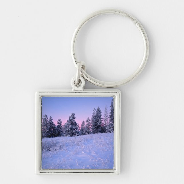 USA, Washington, Spokane County, Browne Mountain Key Ring (Front)