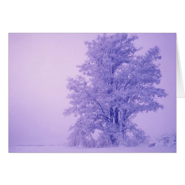 USA, Washington, Spokane County, Frosted (Front Horizontal)