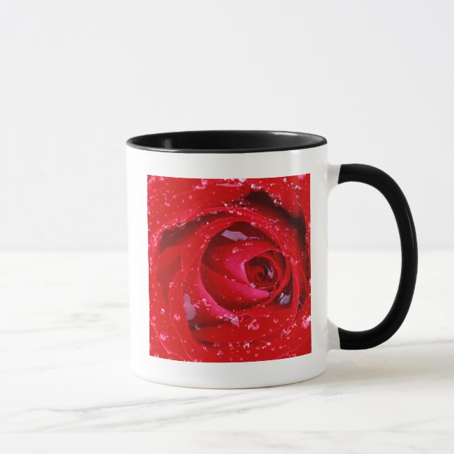 USA, Washington, Spokane County, Manito Park Mug (Right)