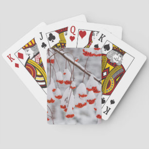 USA, Washington, Spokane County Playing Cards