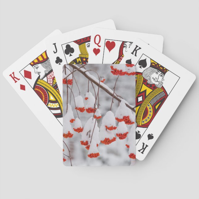 USA, Washington, Spokane County Playing Cards (Back)