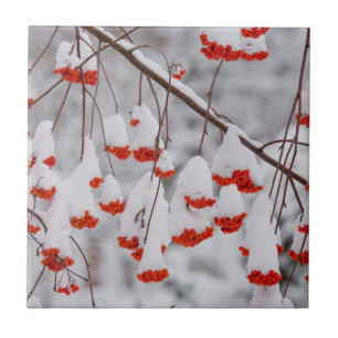 USA, Washington, Spokane County Tile