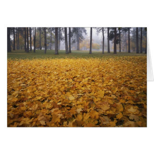USA, Washington, Spokane, Manito Park, Autumn