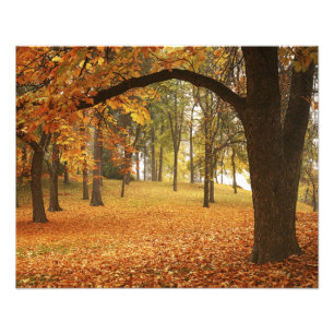 USA, Washington, Spokane, Manito Park, Autumn 2 Photo Print