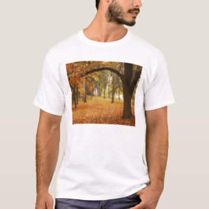 USA, Washington, Spokane, Manito Park, Autumn 2 T-Shirt
