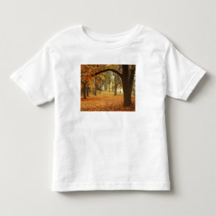 USA, Washington, Spokane, Manito Park, Autumn 2 Toddler T-Shirt