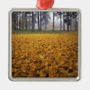 USA, Washington, Spokane, Manito Park, Autumn Metal Tree Decoration