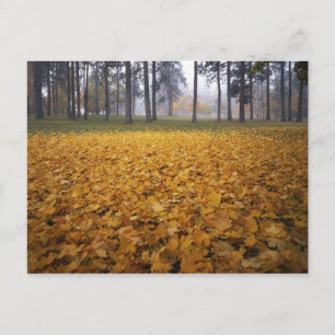 USA, Washington, Spokane, Manito Park, Autumn Postcard