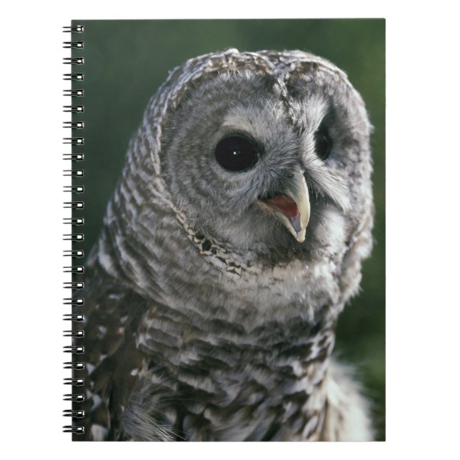 USA, Washington State. Barred Owl (Strix varia) Spiral Notebook (Front)