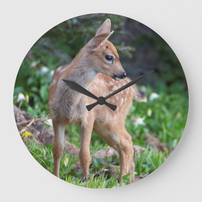 USA, Washington State. Blacktail Deer Fawn Large Clock (Front)