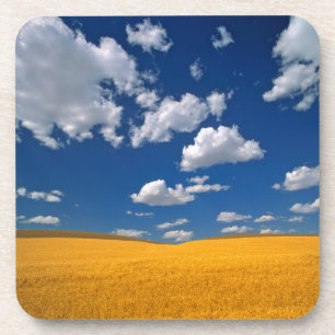 USA, Washington State, Colfax. Ripe barley meets Coaster