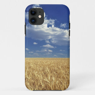 USA, Washington State, Colfax. Ripe wheat iPhone 11 Case