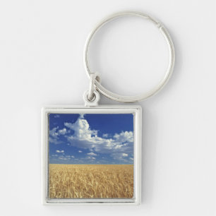 USA, Washington State, Colfax. Ripe wheat Key Ring