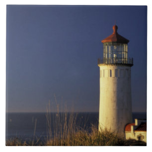 USA, Washington State, Fort Canby State Park. Tile