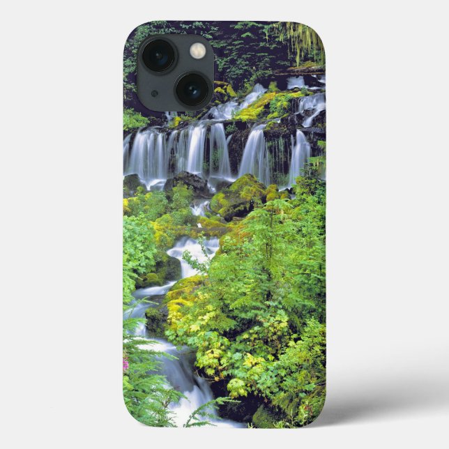 USA, Washington State, Mt Adams Wilderness. Twin Case-Mate iPhone Case (Back)