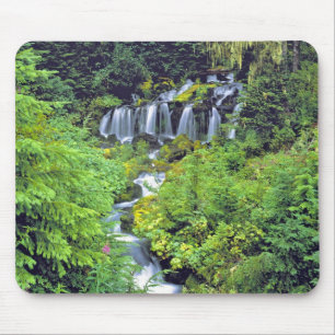 USA, Washington State, Mt Adams Wilderness. Twin Mouse Pad