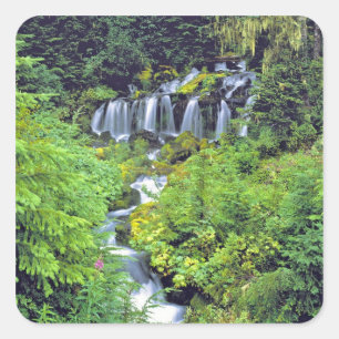 USA, Washington State, Mt Adams Wilderness. Twin Square Sticker