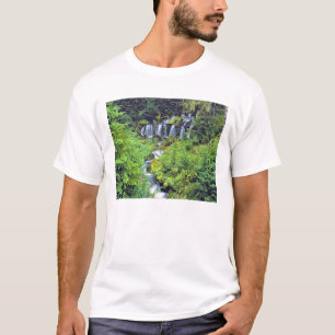 USA, Washington State, Mt Adams Wilderness. Twin T-Shirt