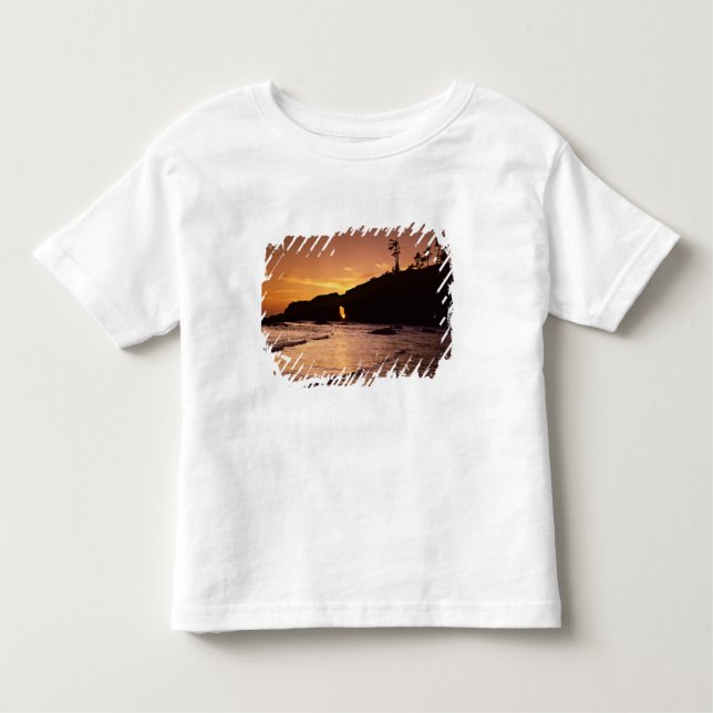 USA, Washington State, Olympic National Park. 2 Toddler T-Shirt (Front)