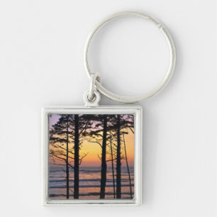 USA, Washington State, Olympic NP. Delicate Key Ring