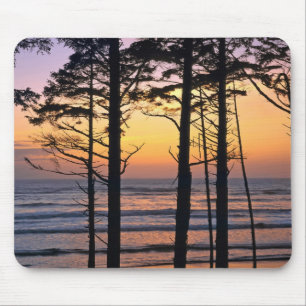 USA, Washington State, Olympic NP. Delicate Mouse Pad