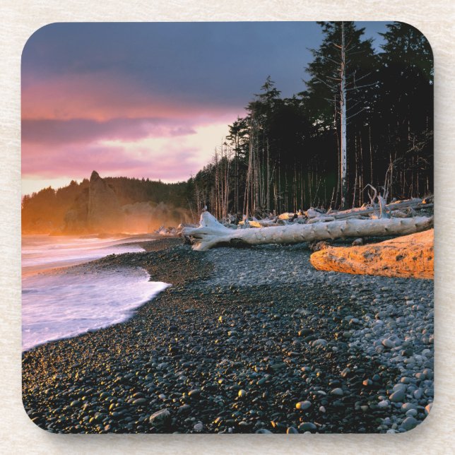 USA, Washington State, Olympic NP. Waves lap the Coaster (Front)