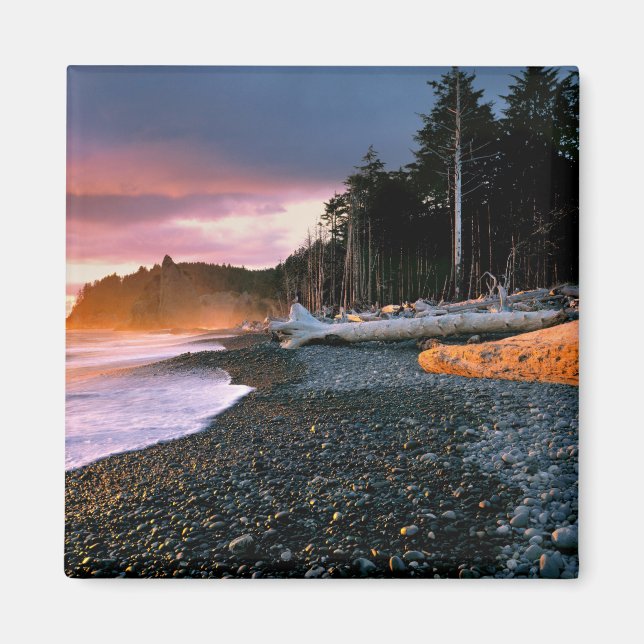 USA, Washington State, Olympic NP. Waves lap the Magnet (Front)