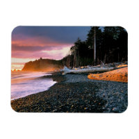 USA, Washington State, Olympic NP. Waves lap the