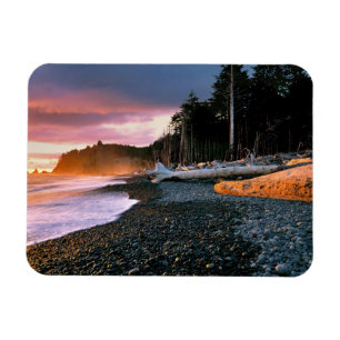 USA, Washington State, Olympic NP. Waves lap the Magnet