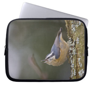 USA, Washington State, Red-brested Nuthatch, Laptop Sleeve