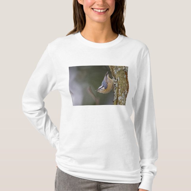 USA, Washington State, Red-brested Nuthatch, T-Shirt (Front)