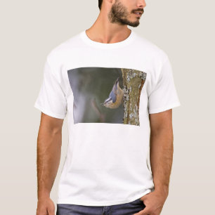 USA, Washington State, Red-brested Nuthatch, T-Shirt