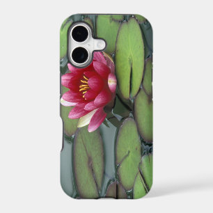 USA, Washington State, Seattle. Water lily and