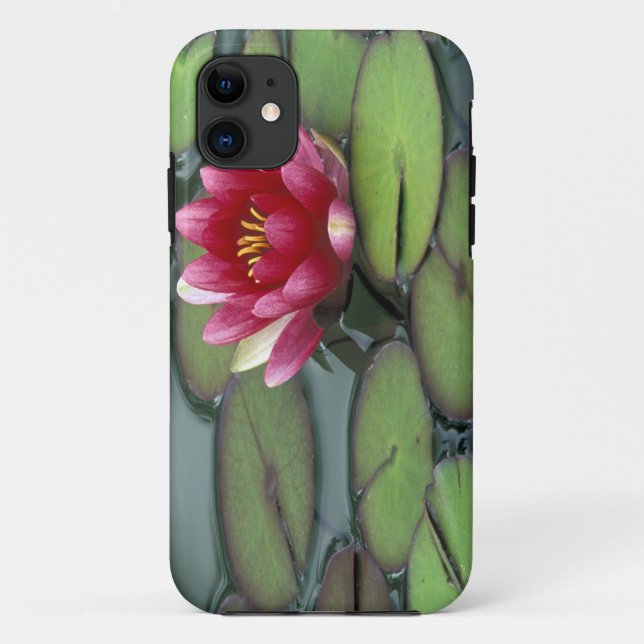 USA, Washington State, Seattle. Water lily and Case-Mate iPhone Case (Back)
