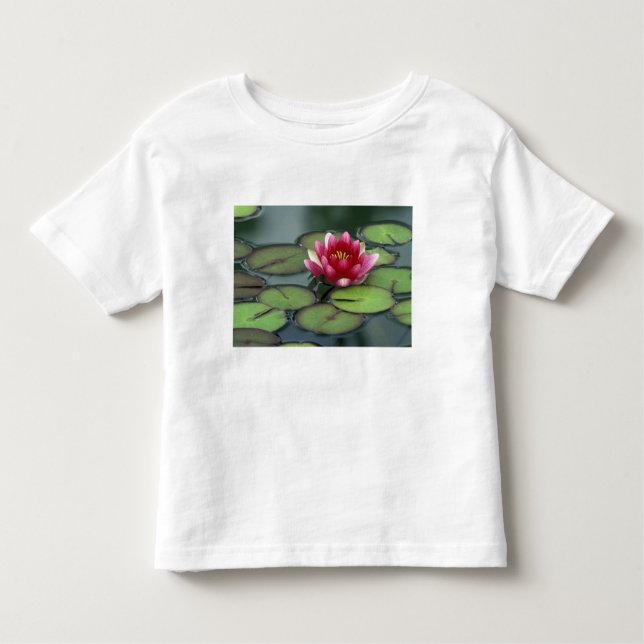 USA, Washington State, Seattle. Water lily and Toddler T-Shirt (Front)