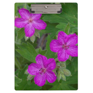 USA, Washington, Turnbull National Wildlife Clipboard