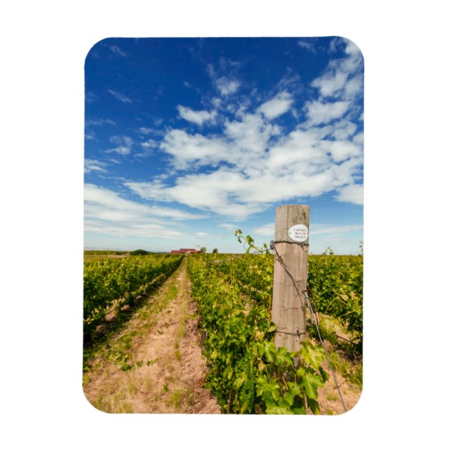 USA, Washington, Walla Walla. Cabernet Sauvignon Magnet (Vertical)