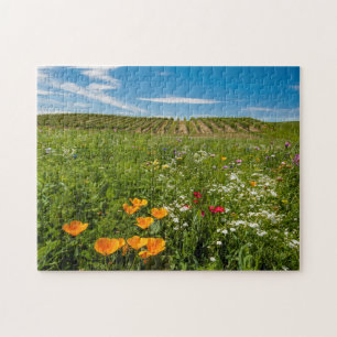 USA, Washington, Walla Walla. Wildflowers Jigsaw Puzzle