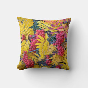 USA, Washington, Western Mountain Ash, Okanogan Cushion