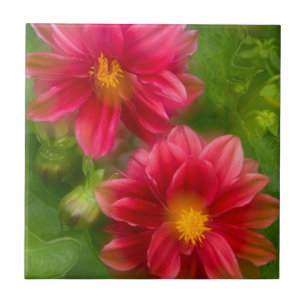 USA, Washington, Whidbey Island. Dahlia montage Tile