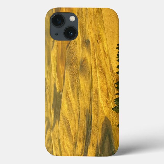 USA, Washington, Whitman County, Palouse, Wheat Case-Mate iPhone Case (Back)