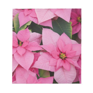 USA, Washington, Woodinville, Molbak's Nursery, 3 Notepad