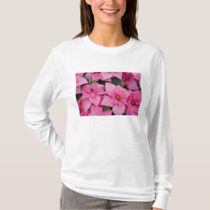 USA, Washington, Woodinville, Molbak's Nursery, 3 T-Shirt