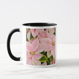 USA, Washington, Woodinville, Molbak's Nursery, 4 Mug
