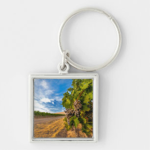 USA, Washington, Yakima Valley. Merlot Grapes Key Ring
